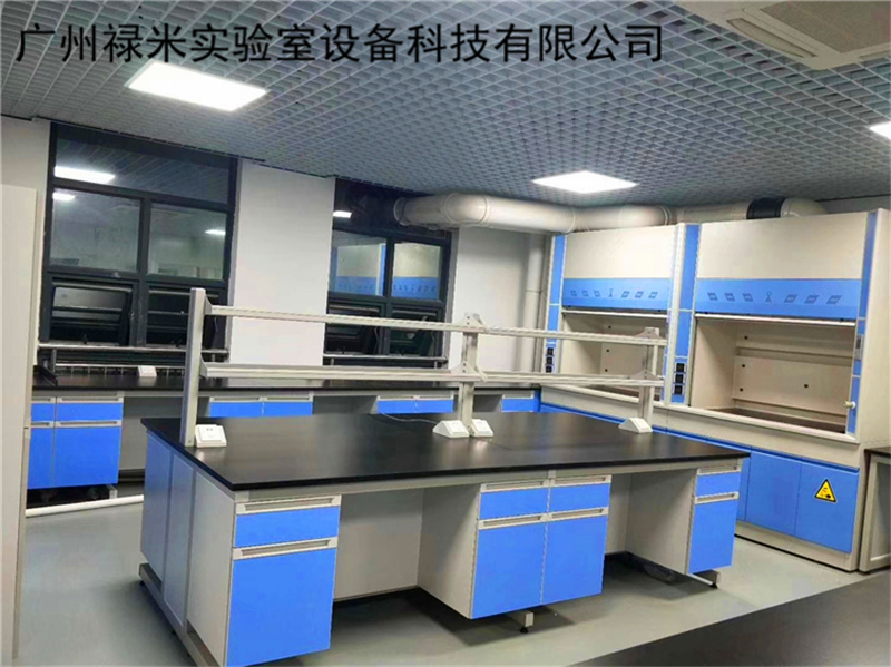 實(shí)驗(yàn)室家具 實(shí)驗(yàn)室家具